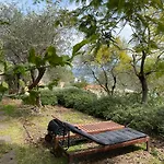 Miramare Apartments&suites 4*
