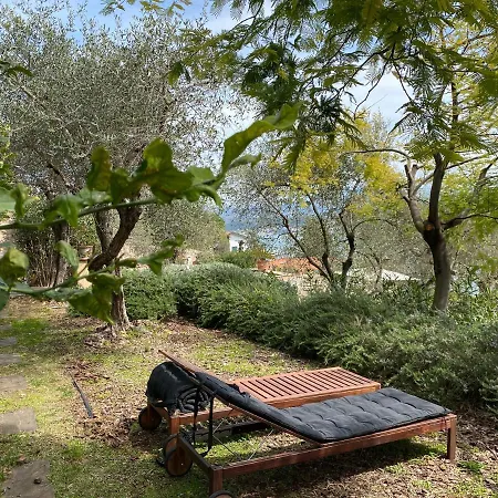 Miramare Apartments&suites 4*